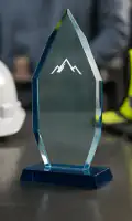 Incentive & Recognition Programs