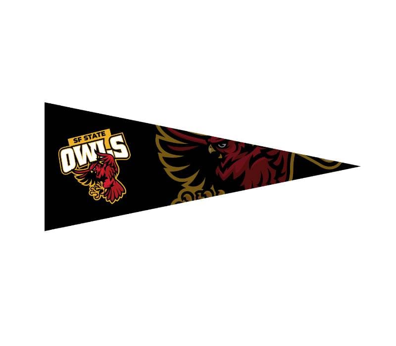 12" x 30" Full Color Felt Pennant Flag Banner