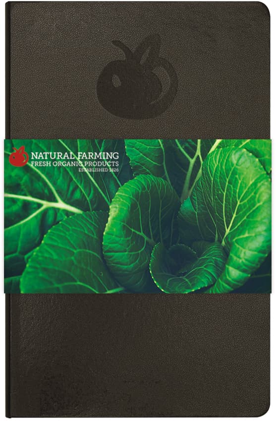 Ambassador Mini Journal w/ Graphic Wrap